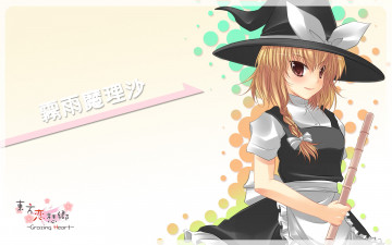 Картинка аниме touhou девушка фон взгляд