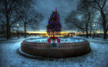 Картинка праздничные Ёлки вечер фонтан елка гирлянды