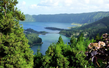 Картинка природа реки озера деревья озеро горы