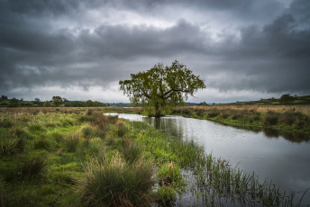 Картинка природа реки озера простор