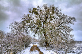 Картинка природа зима простор