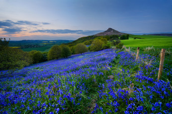 Картинка природа луга простор