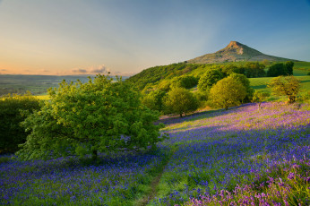 Картинка природа побережье простор