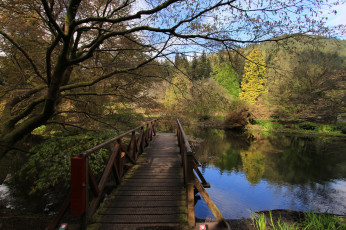 Картинка природа реки озера простор