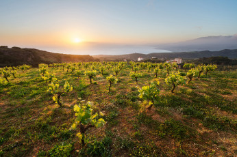 Картинка природа восходы закаты простор