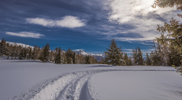 Картинка природа зима простор