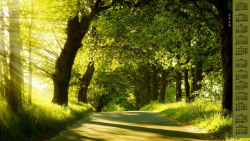 Картинка календари природа 2018 деревья дорога свет