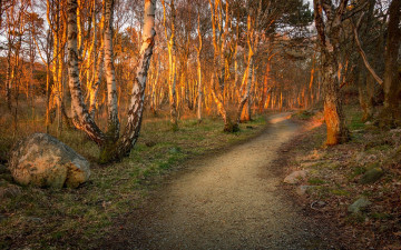 Картинка природа дороги простор