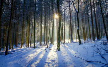 Картинка природа зима простор