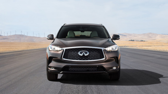 Обои картинки фото infiniti qx50 2019, автомобили, infiniti, qx50, 2019