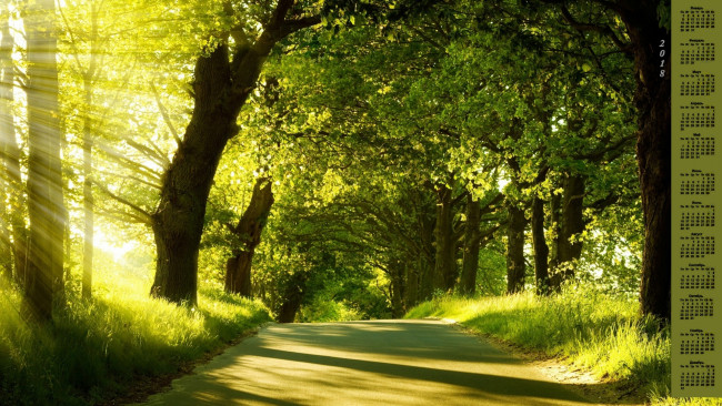 Обои картинки фото календари, природа, 2018, деревья, дорога, свет