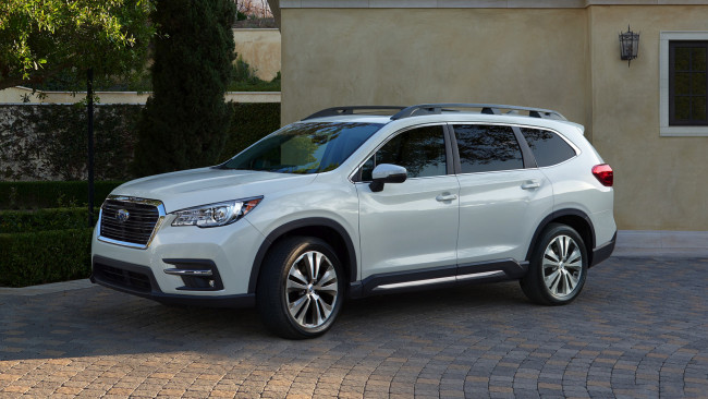 Обои картинки фото subaru ascent 2019, автомобили, subaru, ascent, 2019, внедорожник, белый