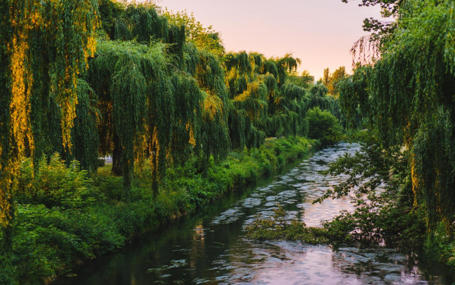 Обои картинки фото природа, реки, озера, деревья, водоем