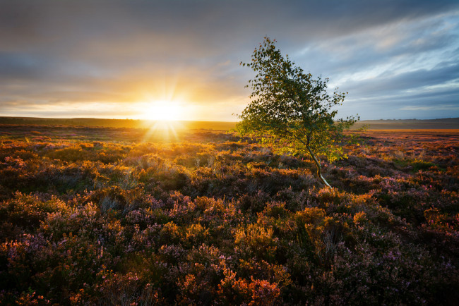 Обои картинки фото природа, восходы, закаты, простор