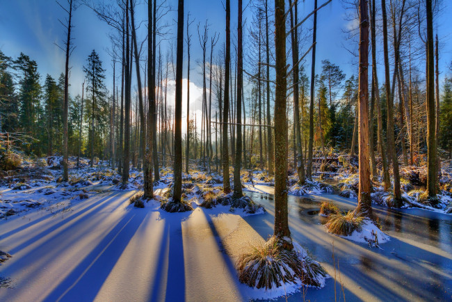 Обои картинки фото природа, зима, простор