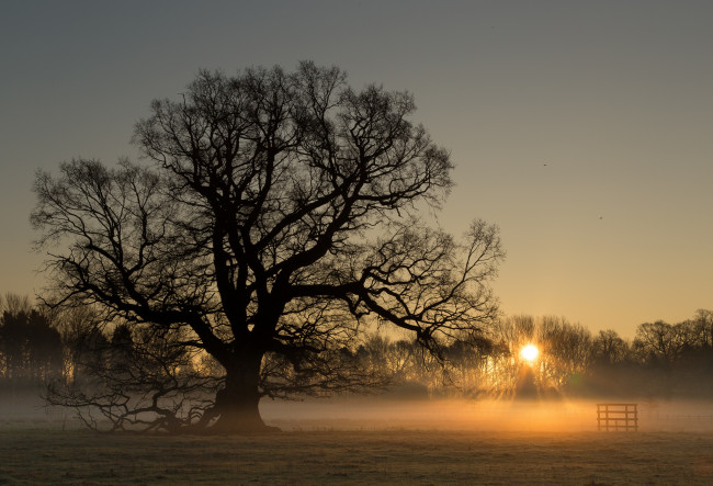 Обои картинки фото природа, восходы, закаты, простор