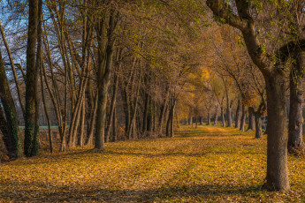 Картинка природа дороги простор