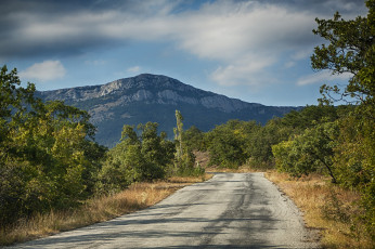 Картинка природа дороги простор