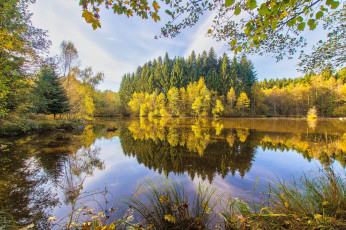 Картинка природа реки озера простор