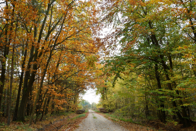 Обои картинки фото природа, дороги, простор