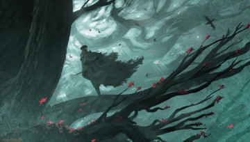 Картинка видео+игры bloodborne