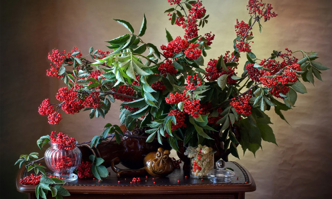 Обои картинки фото еда, рябина, ягоды