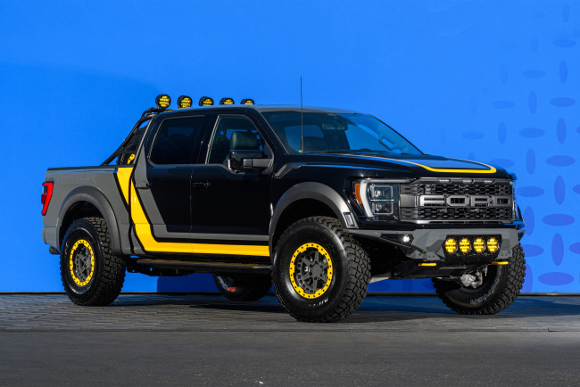 Обои картинки фото автомобили, custom pick-up, ford