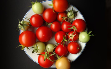 обоя еда, помидоры, тарелка, томаты