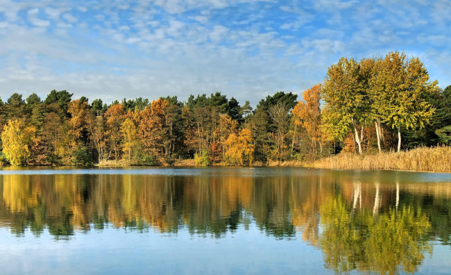 Обои картинки фото природа, реки, озера, небо, облака, лес, деревья, осень, озеро