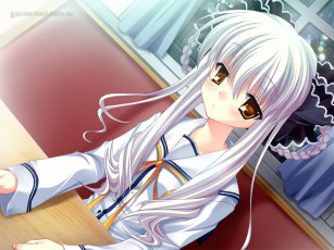 Картинка аниме da capo