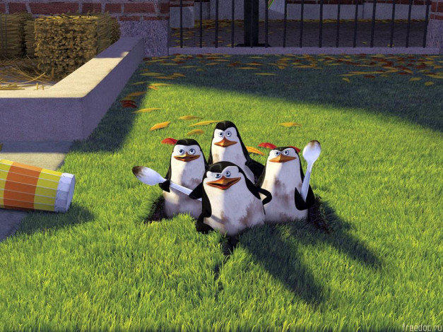 Обои картинки фото мультфильмы, madagascar