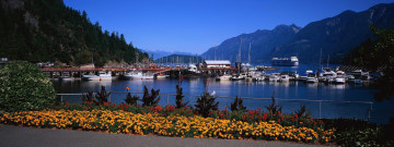 Картинка города