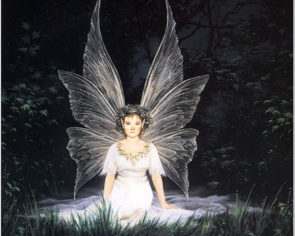Обои картинки фото фэнтези, феи