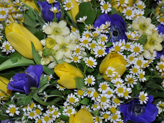 Обои картинки фото цветы, букеты, композиции