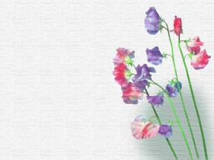 Картинка рисованные цветы