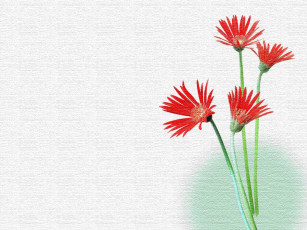 Картинка рисованные цветы