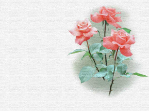 Картинка рисованные цветы