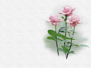 Картинка рисованные цветы