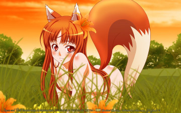 Картинка аниме spice and wolf