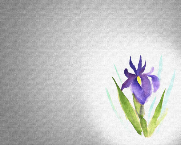 Обои картинки фото рисованные, цветы