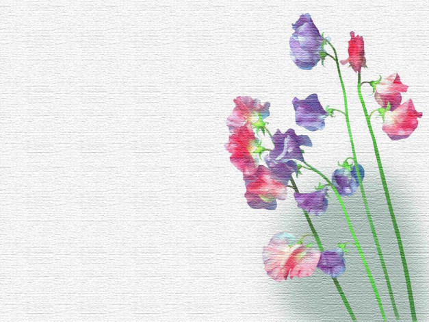 Обои картинки фото рисованные, цветы