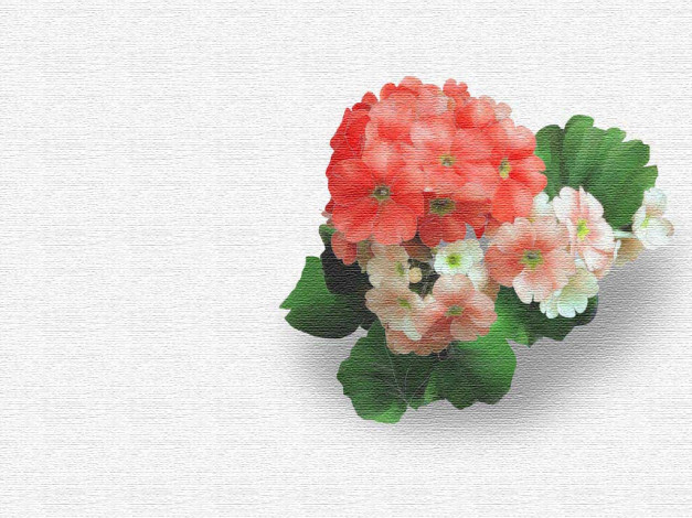 Обои картинки фото рисованные, цветы