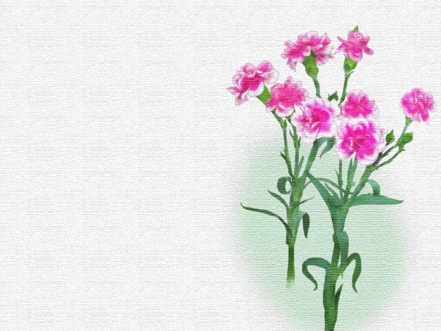 Обои картинки фото рисованные, цветы