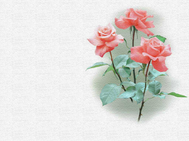 Обои картинки фото рисованные, цветы