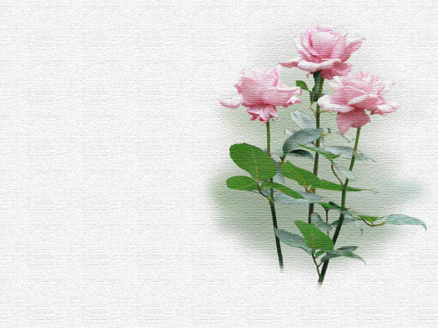 Обои картинки фото рисованные, цветы