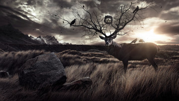 Картинка 3д графика animals животные олень рога птицы камень