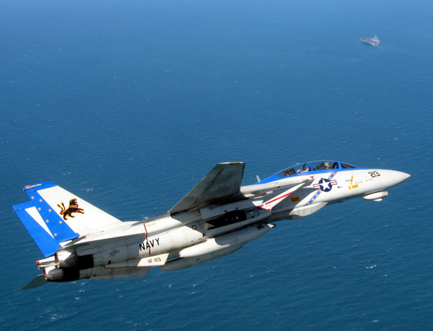 Обои картинки фото grumman, 14, tomcat, авиация, боевые, самолёты, f-14