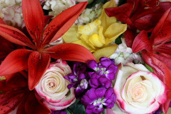 Картинка цветы разные вместе лилии розы левкой