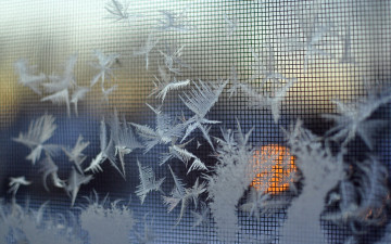 Картинка разное текстуры снежинки фон макро
