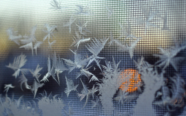 Обои картинки фото разное, текстуры, снежинки, фон, макро